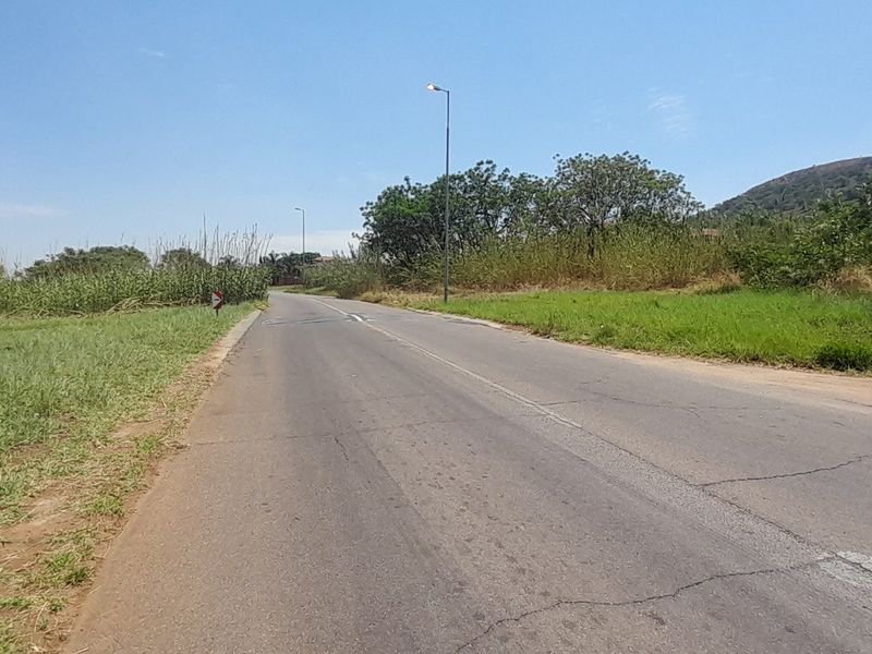 A view of the paved street providing access to the vacant residential land, featuring established street lighting and surrounding natural vegetation.