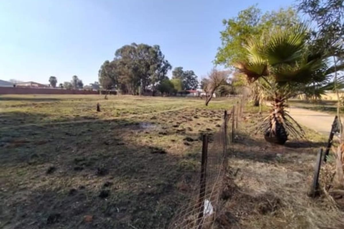 Dream Farm Retreat with Elegant Home, Granny Flat & Pool  - Photo 3