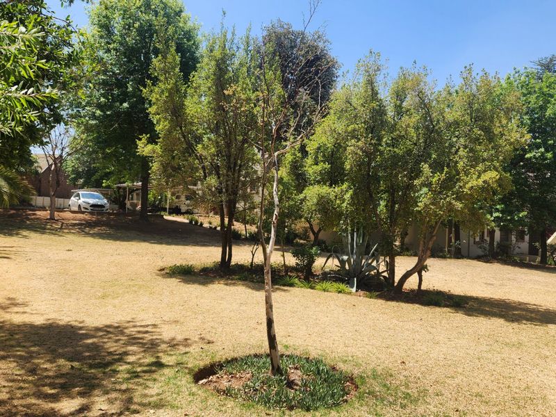 STUNNING GROUND FLOOR UNIT UP FOR GRABS - Photo 4