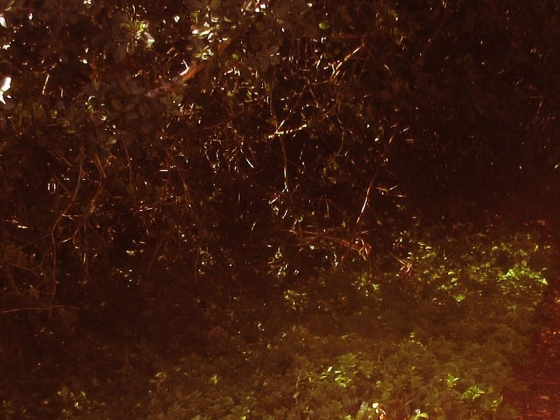 Beautiful views of the farm land  - Photo 8