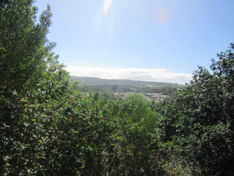A scenic view overlooking the surrounding landscape and residential area, framed by natural vegetation.