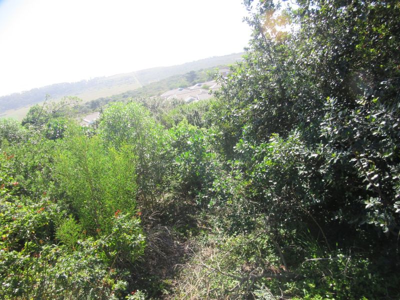 A view of the surrounding landscape and distant residential properties from the sloped, vegetated vacant land.