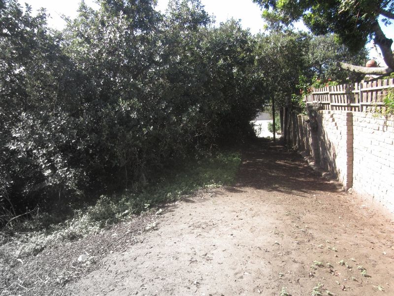 A view of a residential plot featuring a dirt pathway bordered by mature trees and a brick boundary wall with timber fencing.
