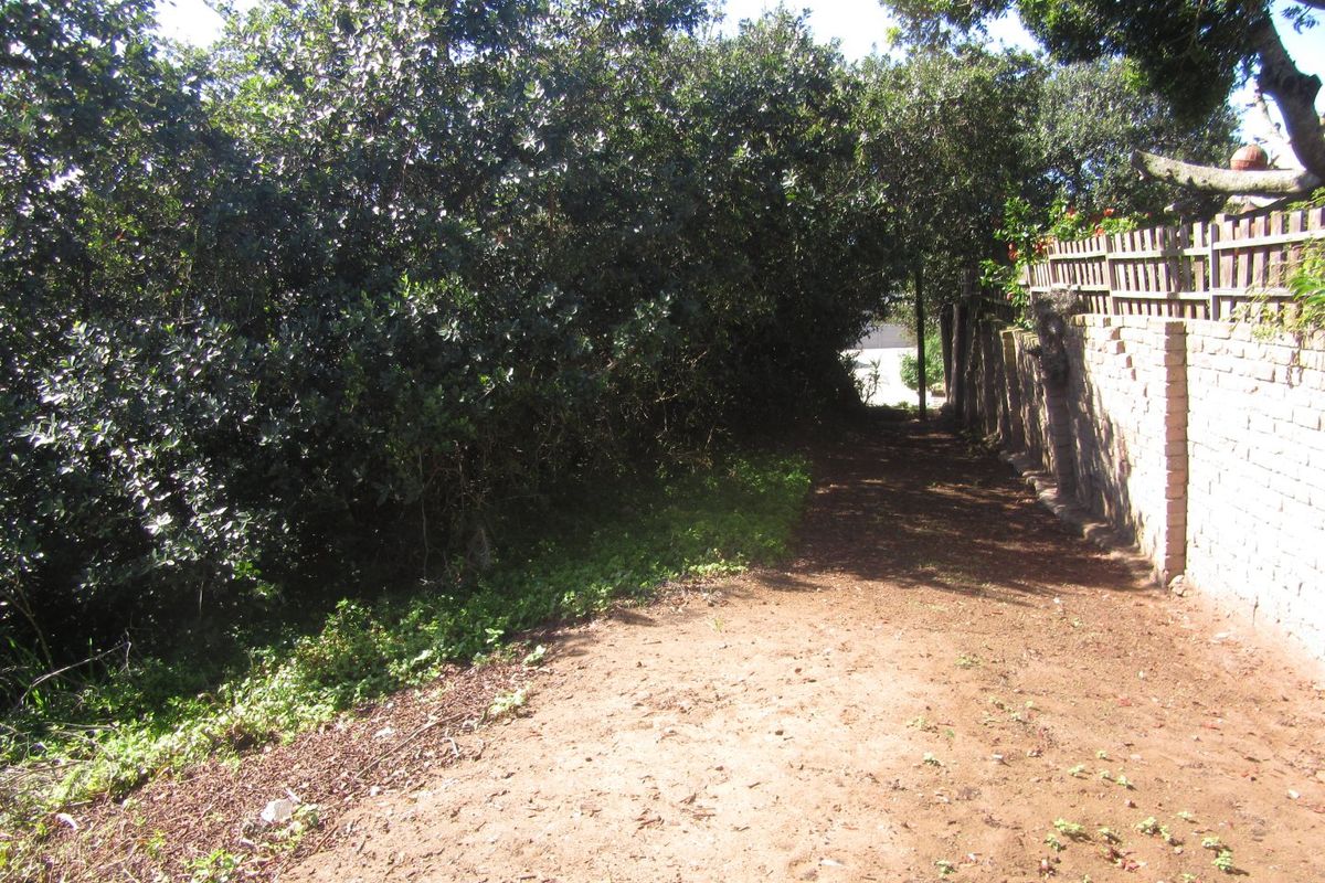 A view of a residential plot featuring a dirt pathway, mature trees, and a brick boundary wall with timber fencing.