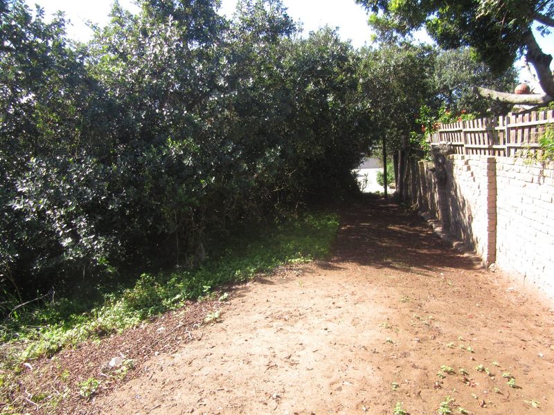 A view of a residential plot featuring a dirt pathway, mature trees, and a brick boundary wall with timber fencing.