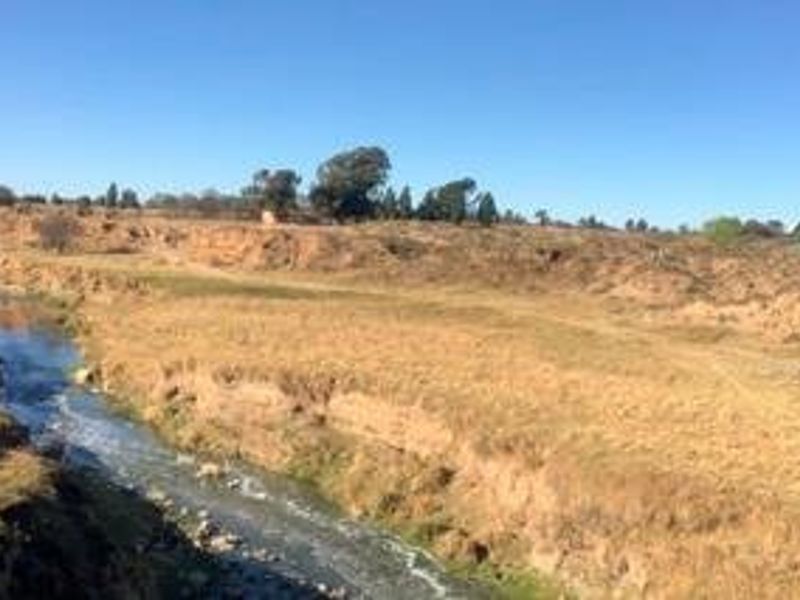 A farm in Lakeview Bloemfontein for sale. - Photo 6