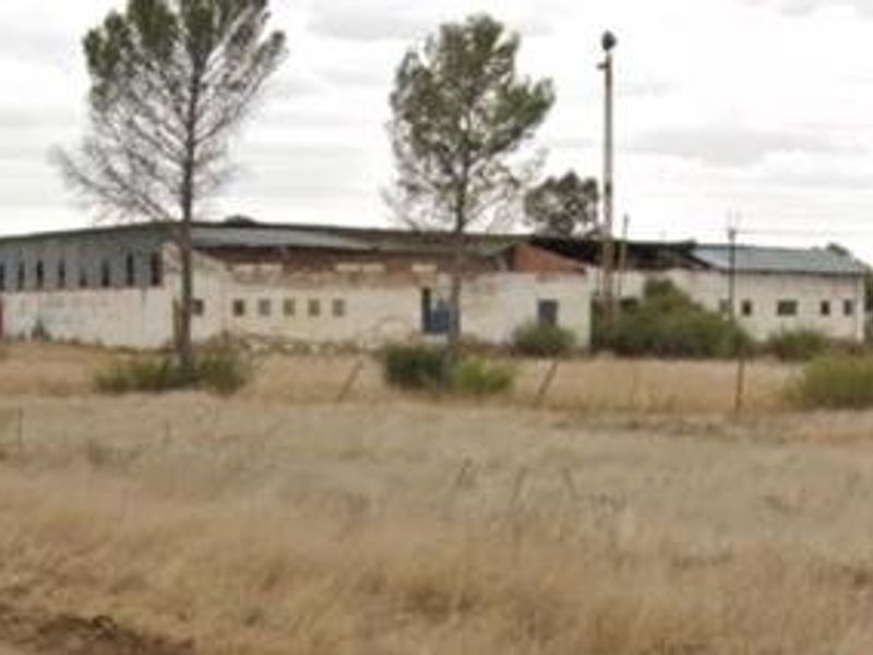 A farm in Lakeview Bloemfontein for sale. - Photo 5