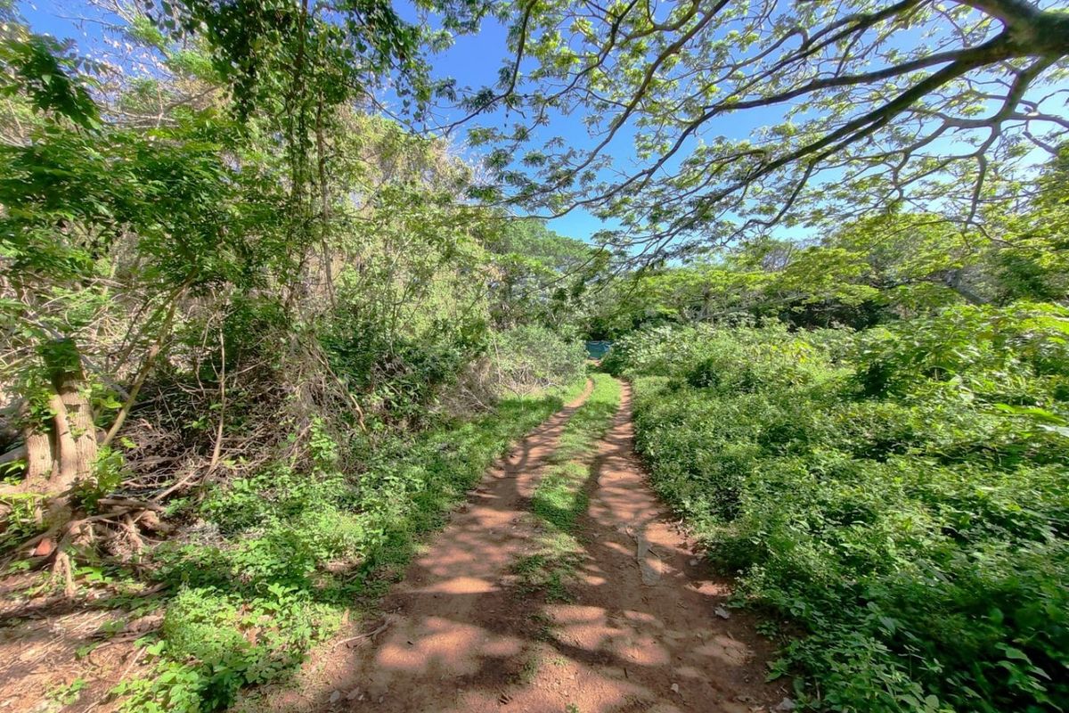 Exclusive Development Opportunity in Illovo Beach, Kingsburgh, KZN - Photo 2