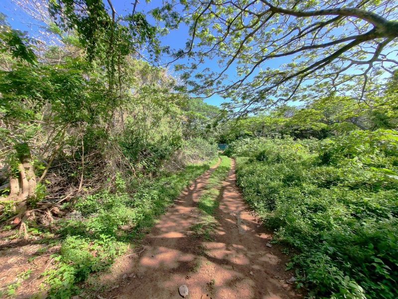 Exclusive Development Opportunity in Illovo Beach, Kingsburgh, KZN - Photo 2
