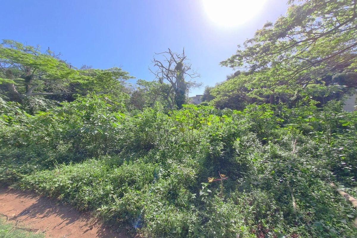 Exclusive Development Opportunity in Illovo Beach, Kingsburgh, KZN - Photo 3