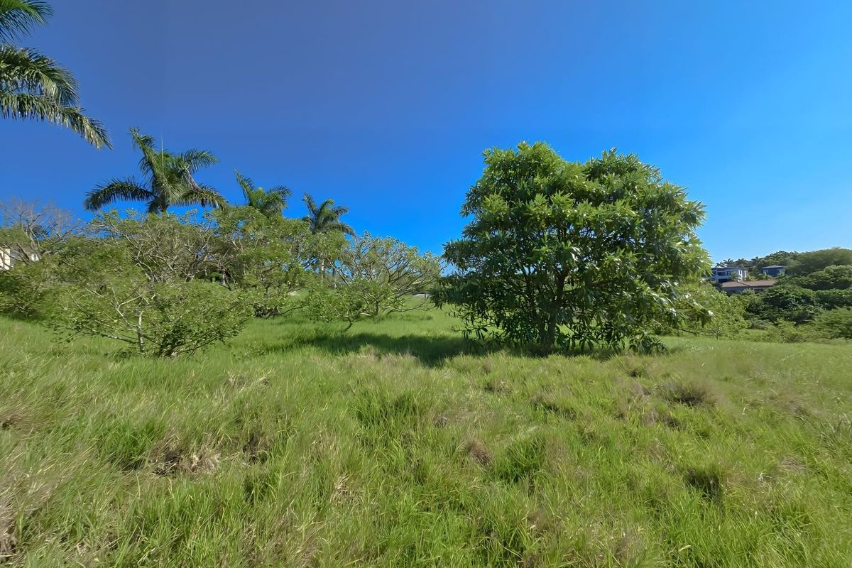 Exquisite Residence in Palm Lakes Estate - Your Coastal Haven Awaits - Photo 2