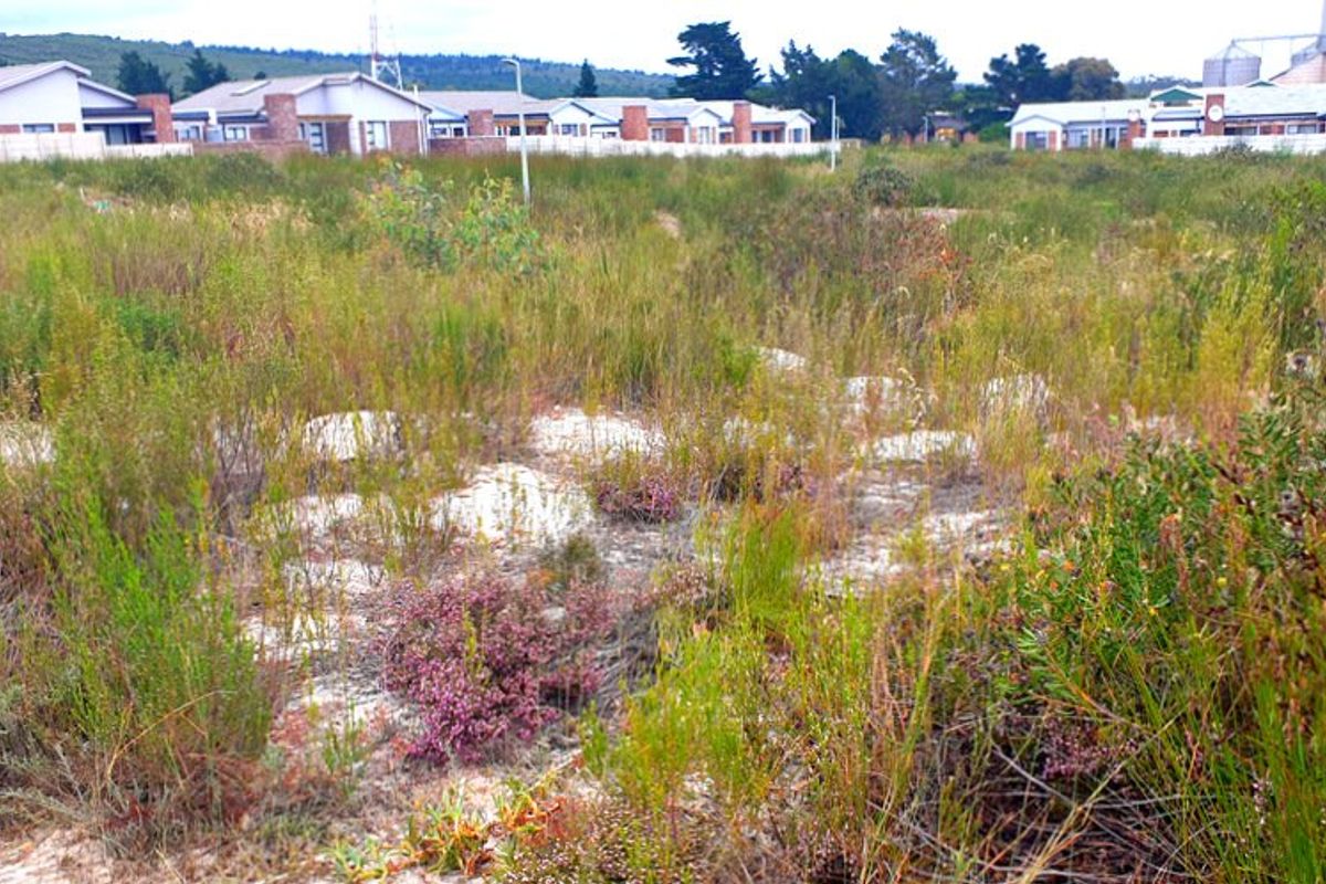 Secure, well placed vacant stand in Aloe Park. - Photo 5