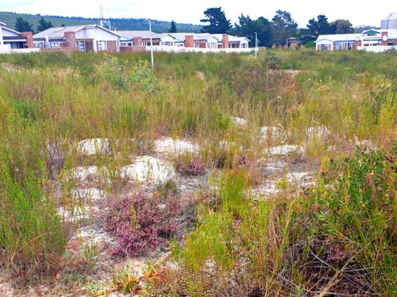 Secure, well placed vacant stand in Aloe Park. - Photo 5