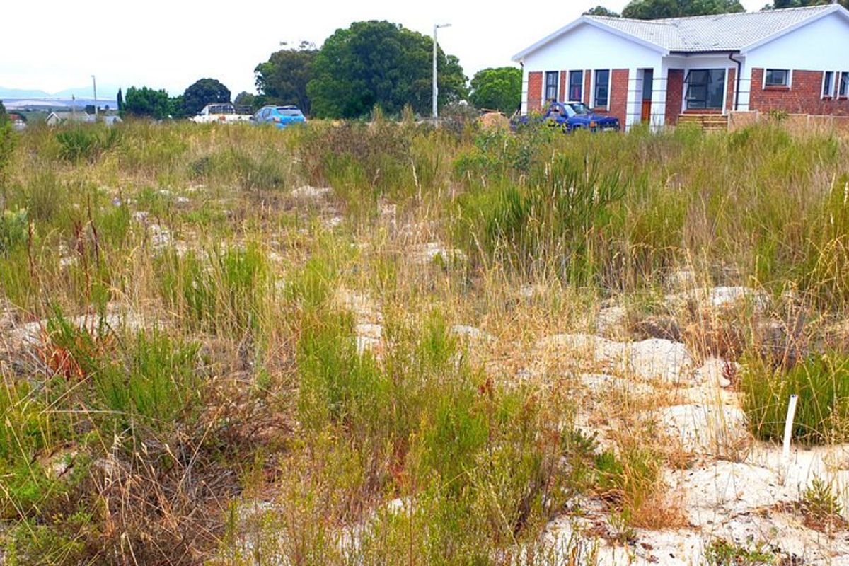 Secure, well placed vacant stand in Aloe Park. - Photo 3