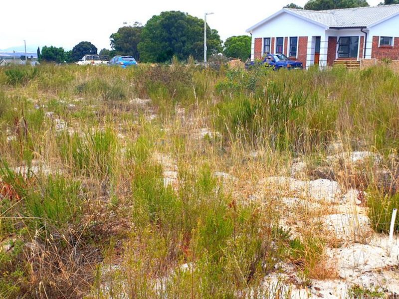 Secure, well placed vacant stand in Aloe Park. - Photo 3
