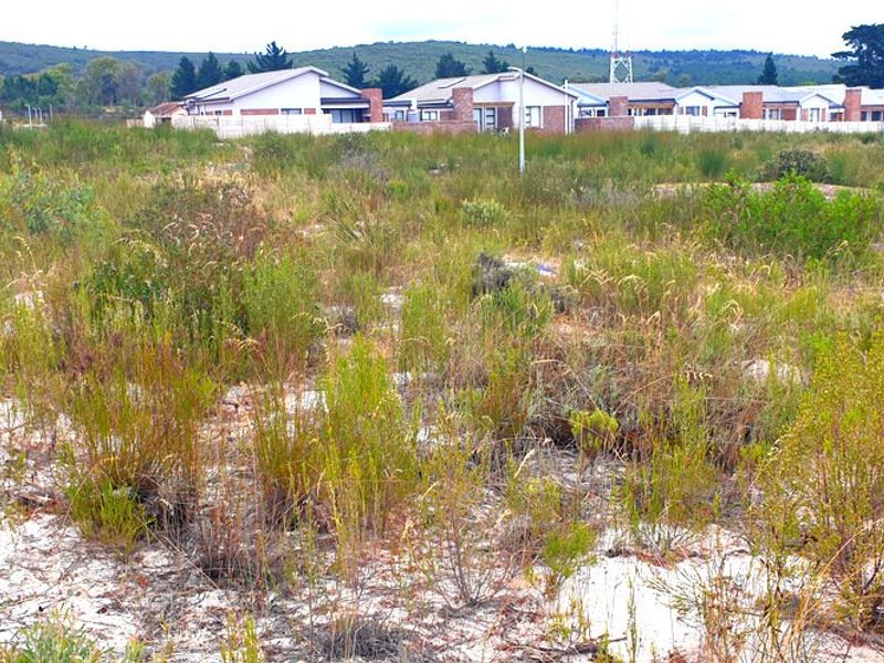 Secure, well placed vacant stand in Aloe Park. - Photo 6