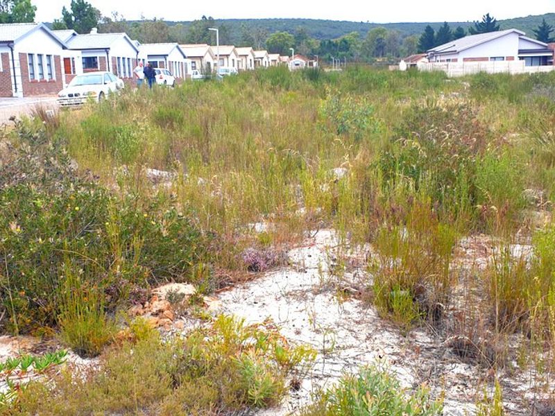 Secure, well placed vacant stand in Aloe Park. - Photo 7