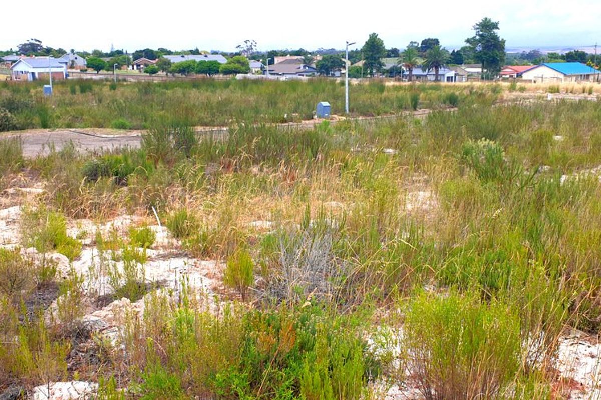 Secure, well placed vacant stand in Aloe Park. - Photo 2