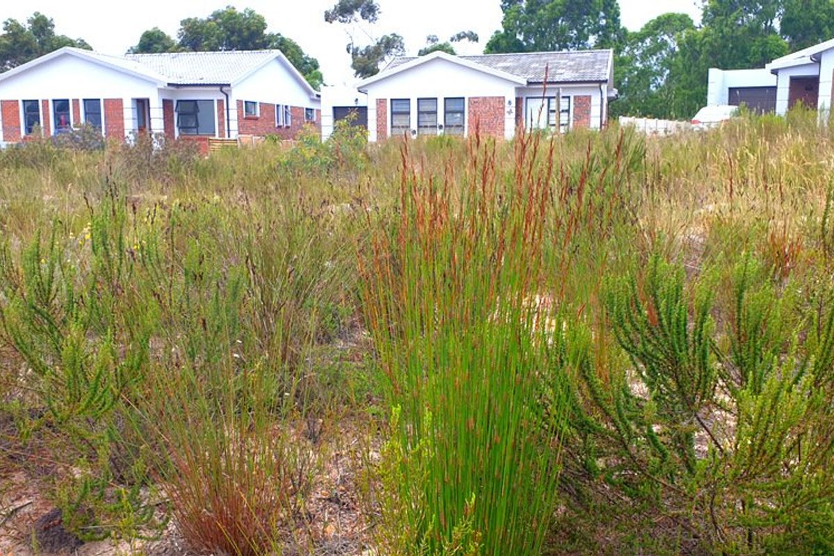 Secure, well placed vacant stand in Aloe Park. - Photo 4