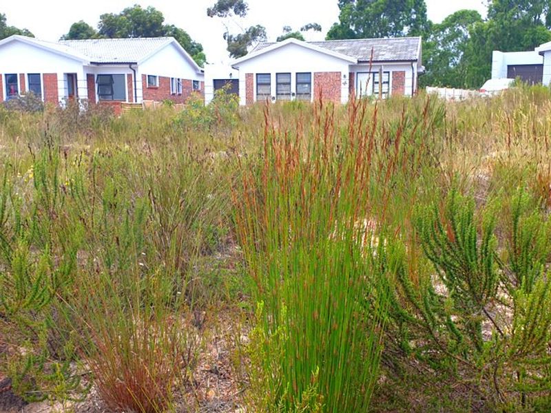 Secure, well placed vacant stand in Aloe Park. - Photo 4