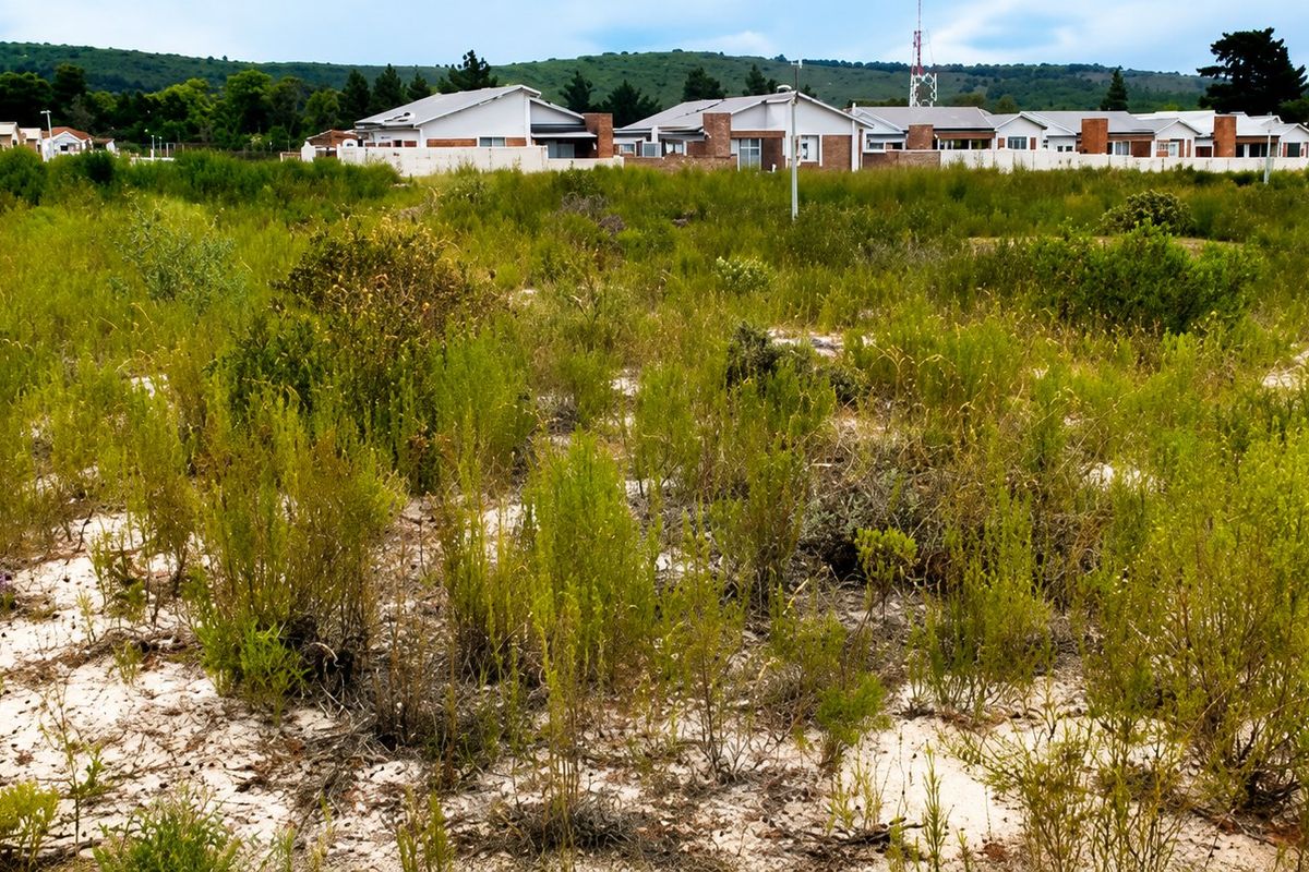 A vacant residential plot featuring sandy soil and native vegetation, situated in a developed neighborhood with established housing in the background.