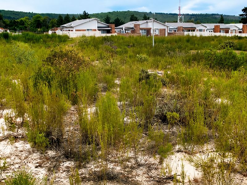 A vacant residential plot featuring sandy soil and native vegetation, situated in a developed neighborhood with established housing in the background.