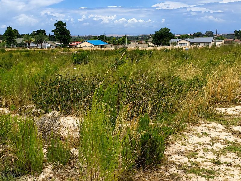 A view of a vacant residential plot featuring natural vegetation and a boundary marker, situated in a developed suburban neighborhood.