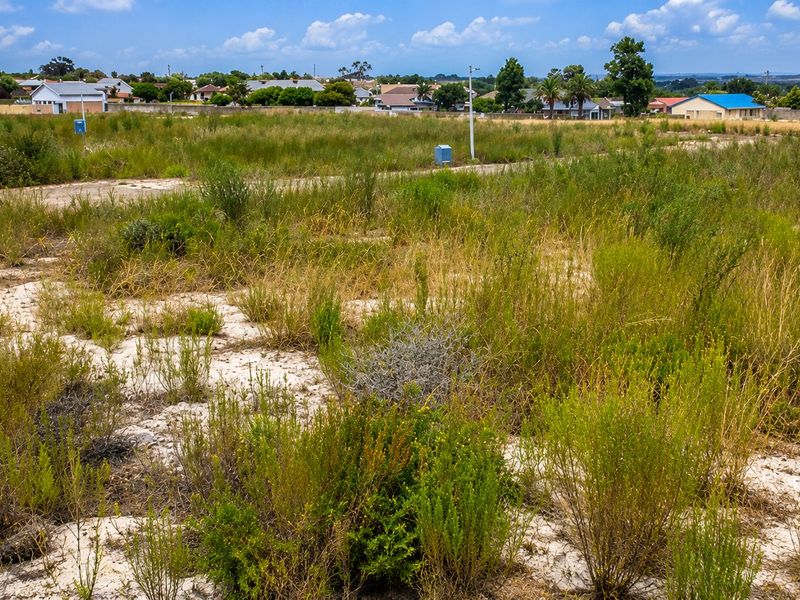 A vacant residential plot featuring natural vegetation and established utility connection points, situated in a developed suburban neighborhood.