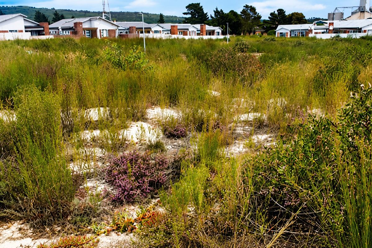 A view of a vacant residential plot featuring natural vegetation with established residential properties visible in the background.