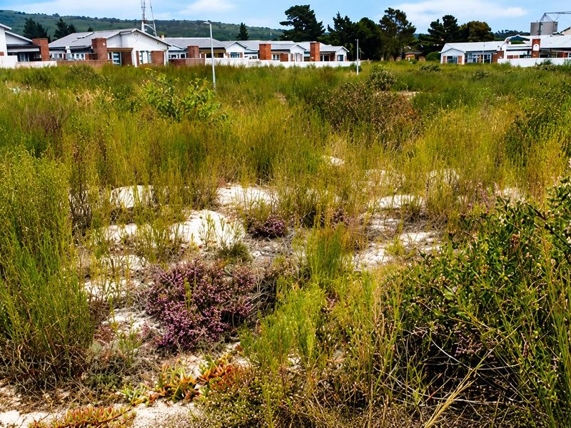 A view of a vacant residential plot featuring natural vegetation with established residential properties visible in the background.