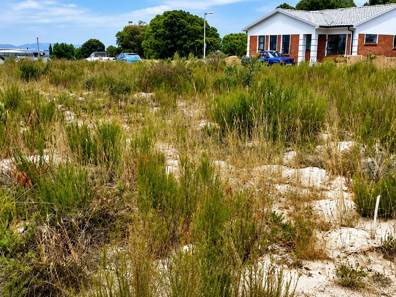 A view of a vacant residential plot featuring sandy soil and native vegetation, situated in a developed neighborhood.