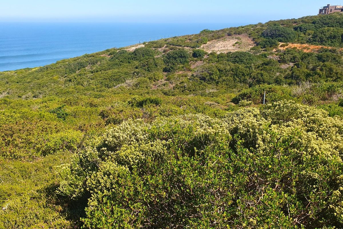 Spectacular vacant stand on the edge of Paradise. - Photo 4
