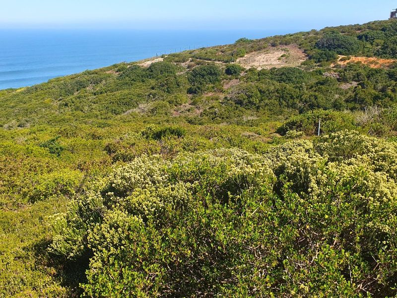 Spectacular vacant stand on the edge of Paradise. - Photo 4