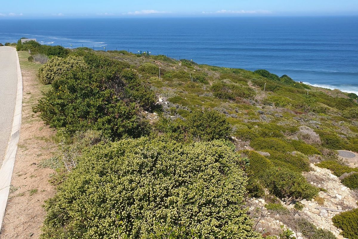 Spectacular vacant stand on the edge of Paradise. - Photo 2