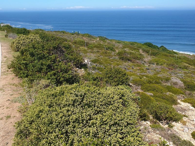 Spectacular vacant stand on the edge of Paradise. - Photo 2