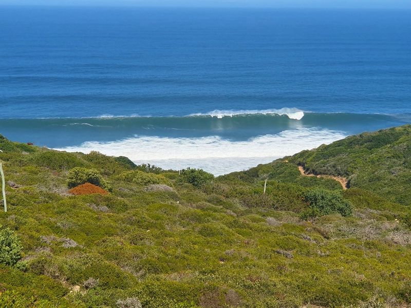 Spectacular vacant stand on the edge of Paradise. - Photo 6
