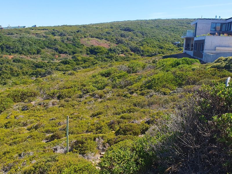 Spectacular vacant stand on the edge of Paradise. - Photo 5