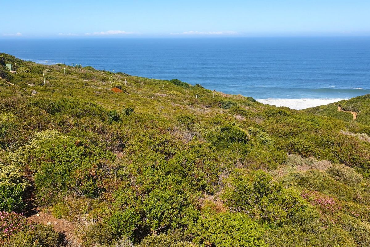 Spectacular vacant stand on the edge of Paradise. - Photo 3