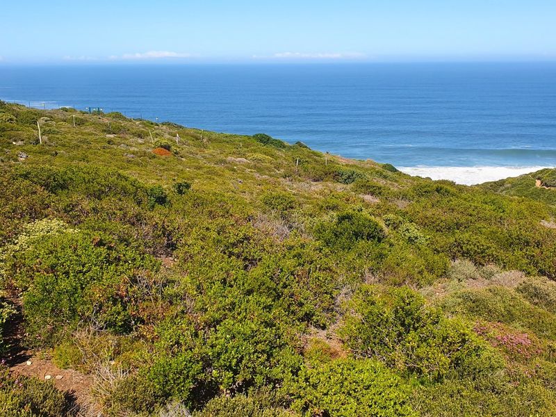 Spectacular vacant stand on the edge of Paradise. - Photo 3