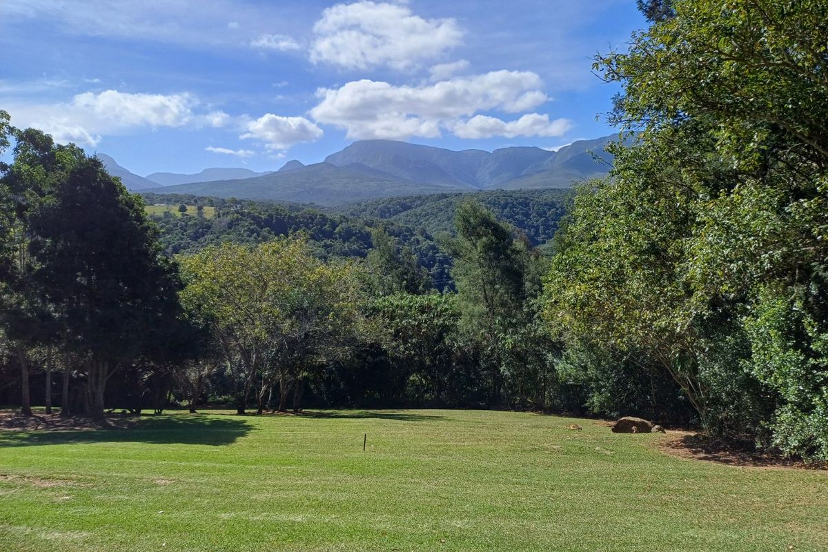 BUILD YOUR DREAM HOME IN THIS WILDERNESS LIFESTYLE ESTATE  - Photo 2