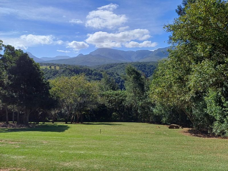 BUILD YOUR DREAM HOME IN THIS WILDERNESS LIFESTYLE ESTATE  - Photo 2