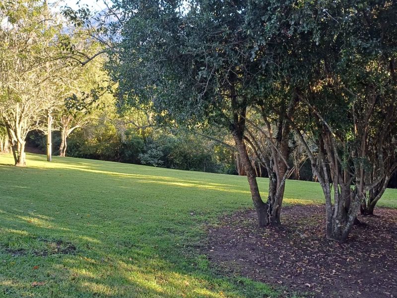 BUILD YOUR DREAM HOME IN THIS WILDERNESS LIFESTYLE ESTATE  - Photo 10