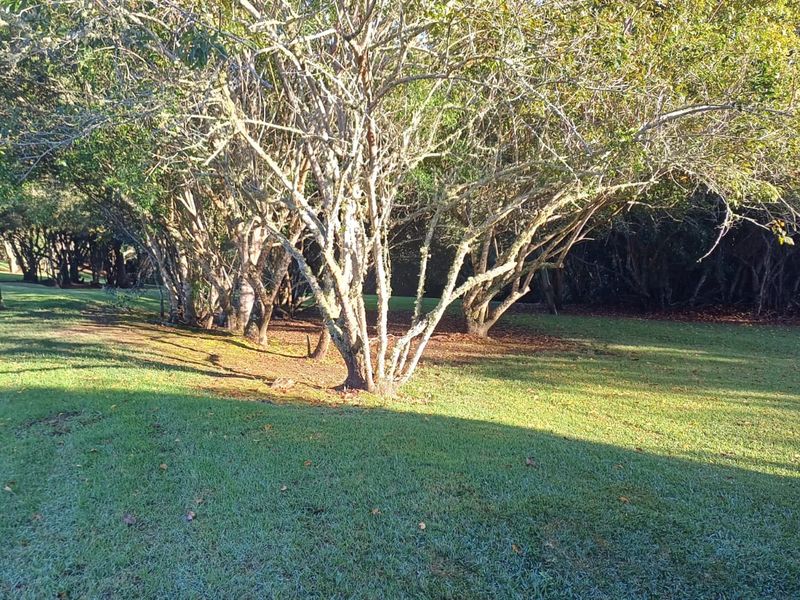 BUILD YOUR DREAM HOME IN THIS WILDERNESS LIFESTYLE ESTATE  - Photo 9