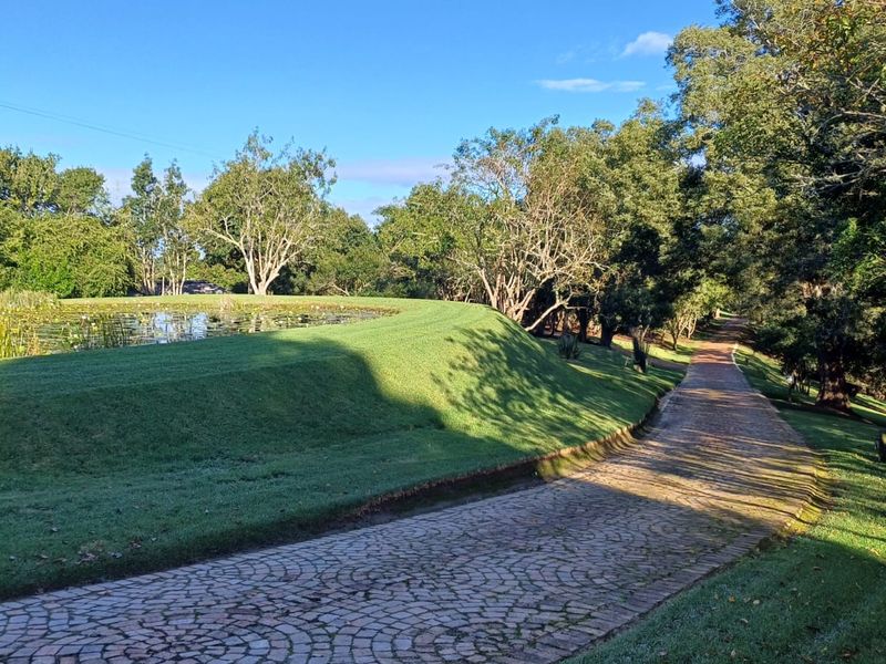 BUILD YOUR DREAM HOME IN THIS WILDERNESS LIFESTYLE ESTATE  - Photo 8