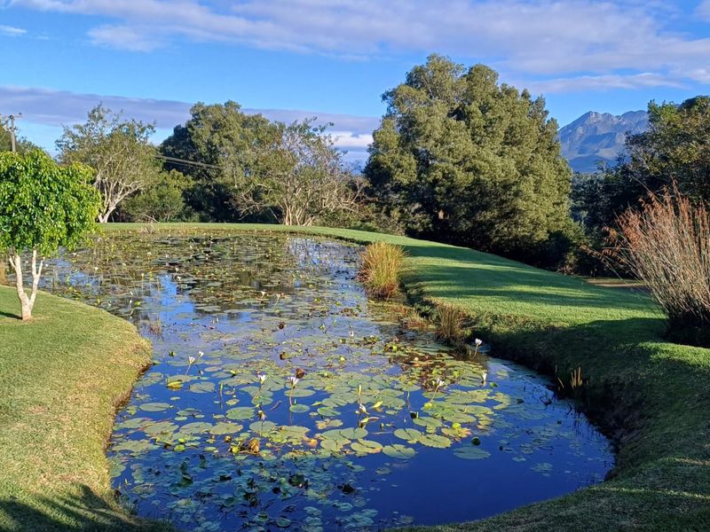 BUILD YOUR DREAM HOME IN THIS WILDERNESS LIFESTYLE ESTATE  - Photo 7