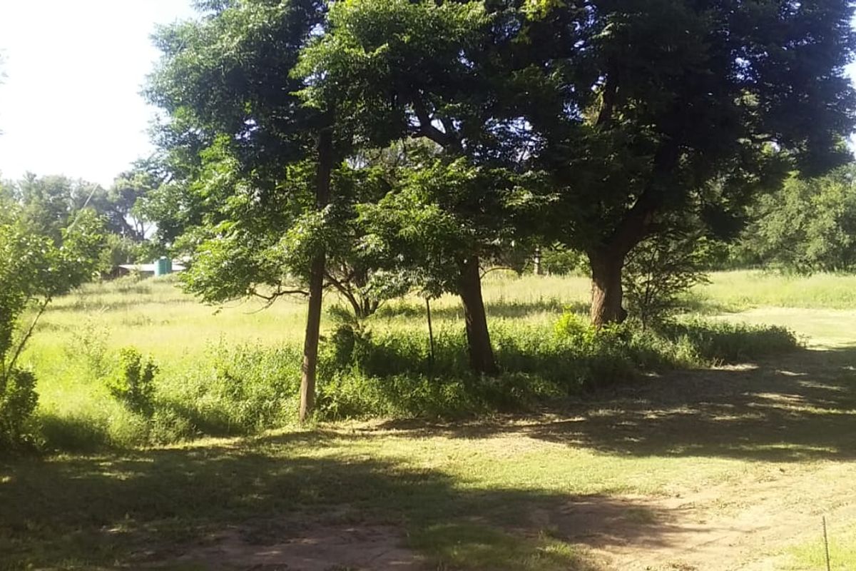 Huge vacant stand in Smithfield - Photo 2