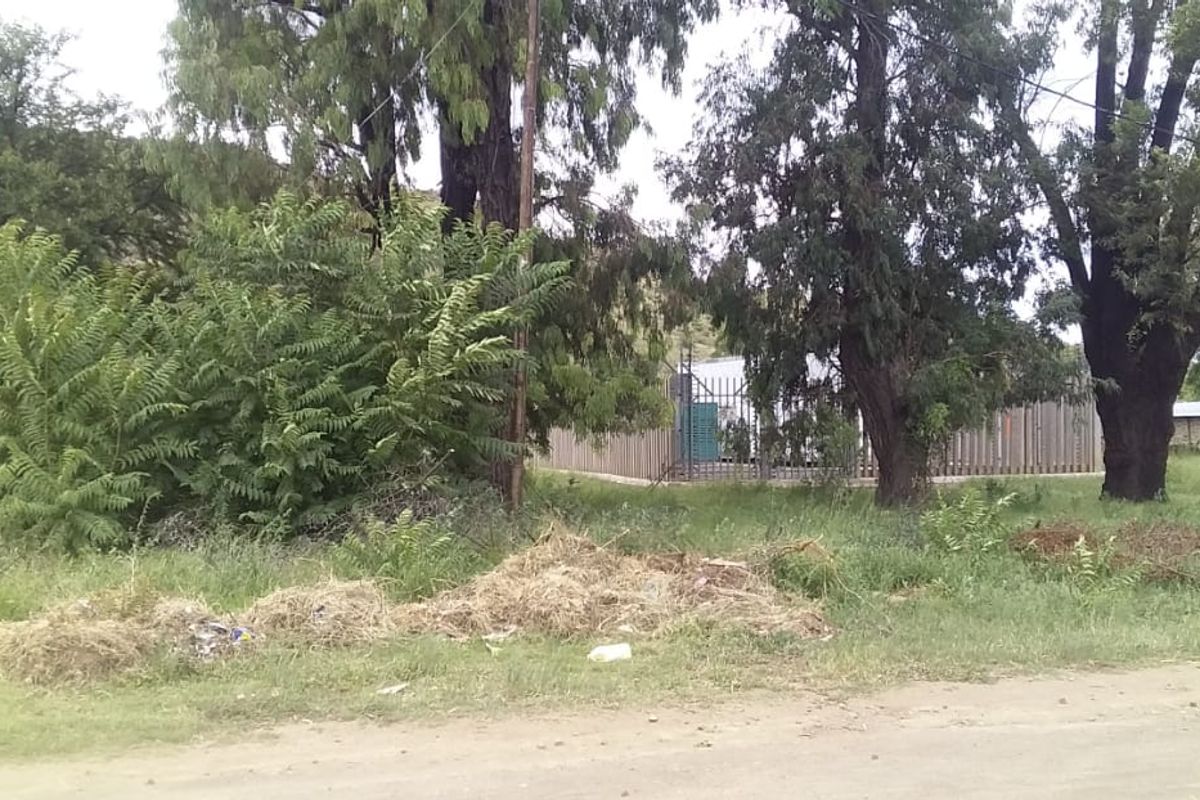 Huge vacant stand in Smithfield - Photo 3