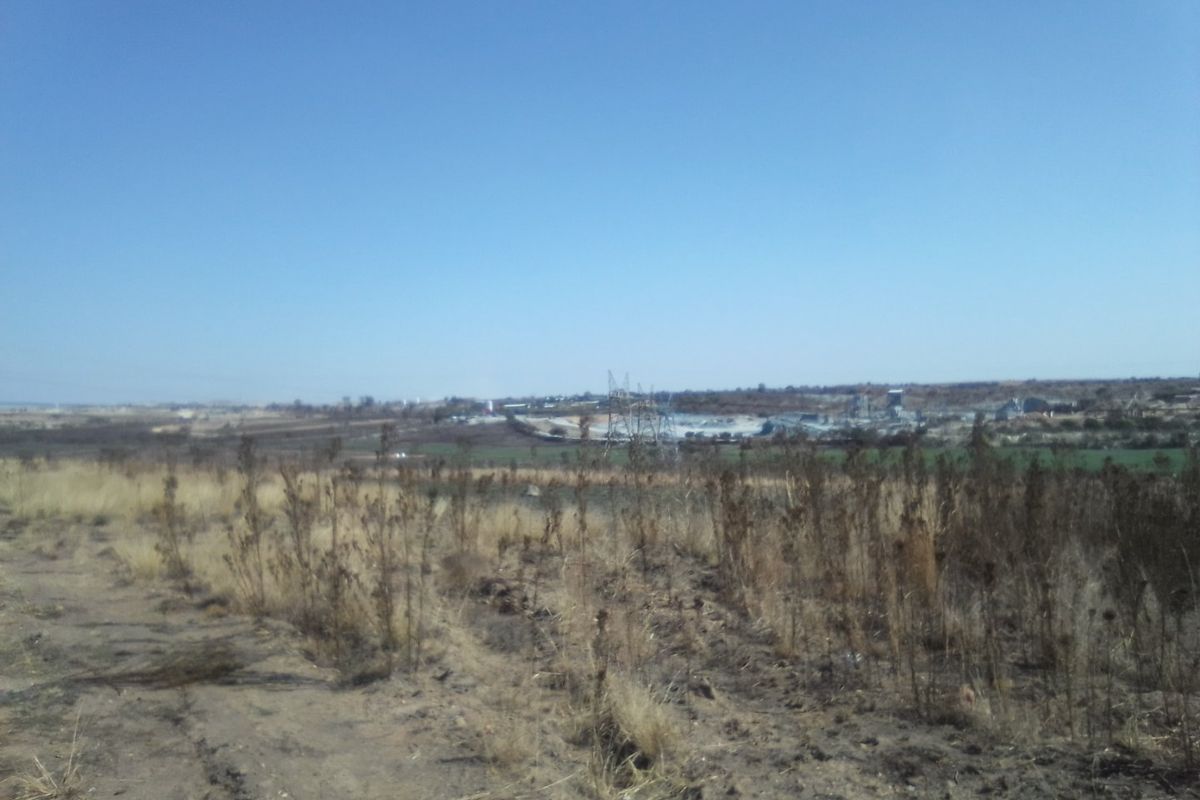 2. 5 HECTARES FARM LAND FOR RENTAL - Photo 5