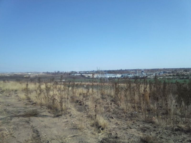 2. 5 HECTARES FARM LAND FOR RENTAL - Photo 5