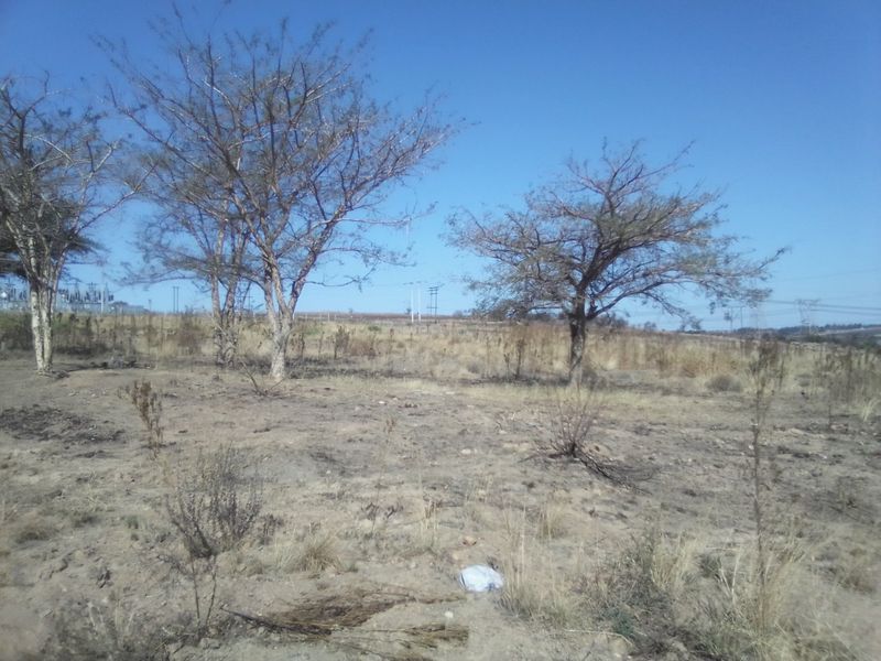 2. 5 HECTARES FARM LAND FOR RENTAL - Photo 9